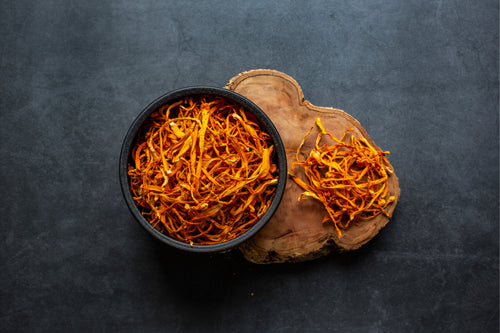 INGREDIENT SPOTLIGHT: CORDYCEPS